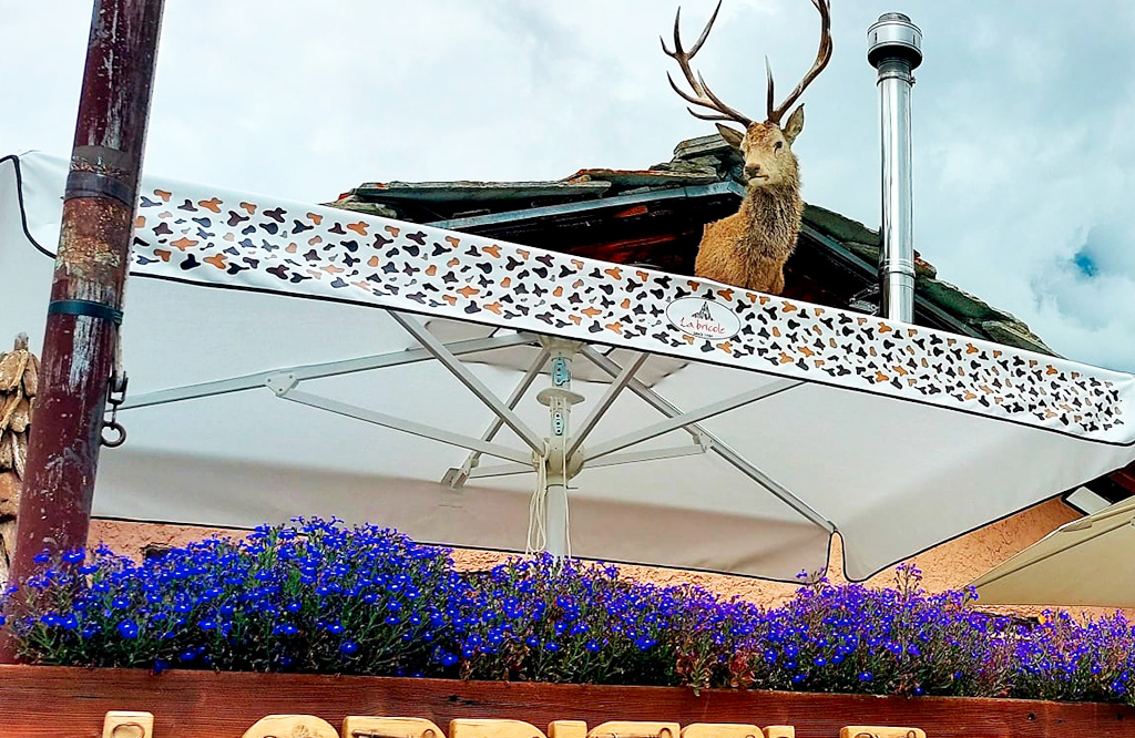 PERSONALIZZAZIONE CREMA OUTDOOR